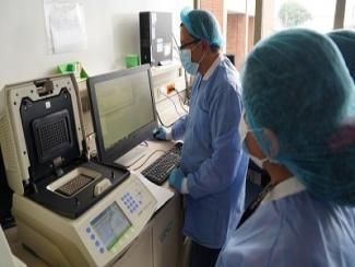 Médicos observando equipos